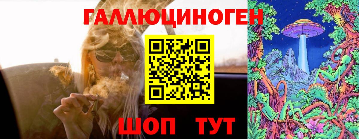 Галлюциногенные грибы Psilocybine cubensis Ачхой-Мартан
