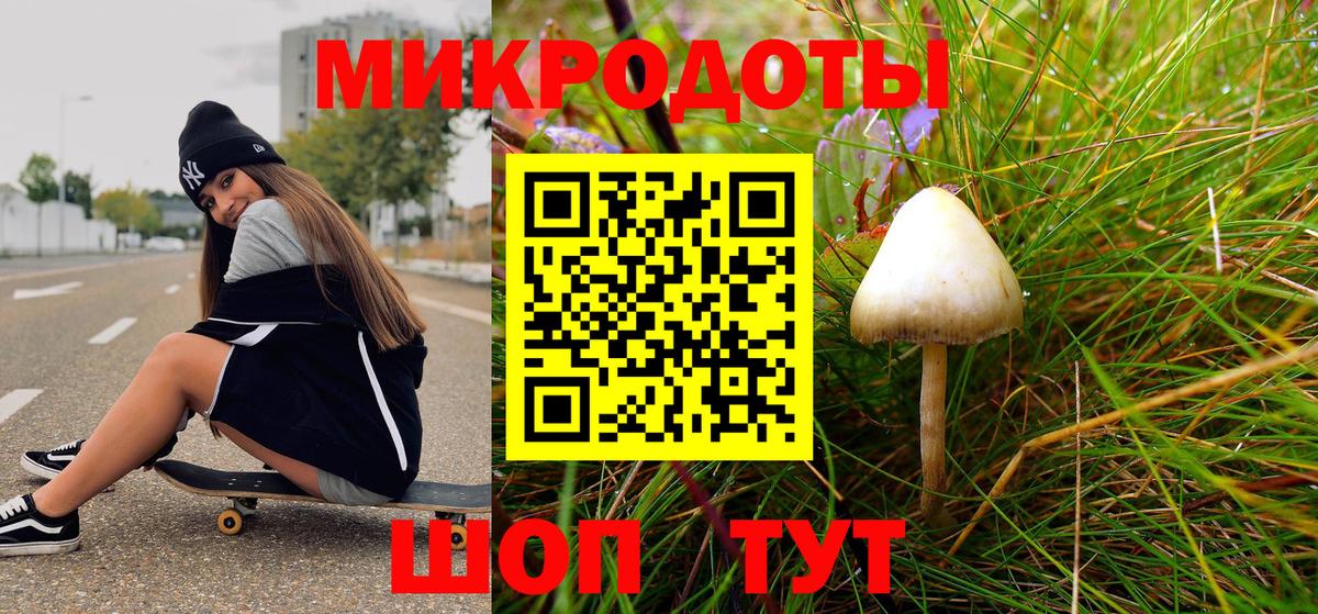 сколько стоит  Вход с VPN  Ачхой-Мартан  Галлюциногенные грибы ЛСД 